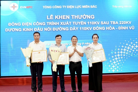 Vượt khó đưa dự án xuất tuyến 110kV Dương Kinh về đích đúng tiến độ
