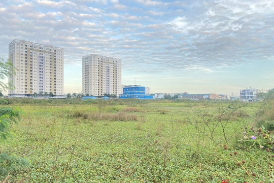 Luật Đất đai (sửa đổi): HoREA kiến nghị tháo gỡ hàng loạt bất cập