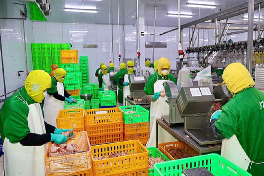 Đảm bảo an toàn thực phẩm: Siết chặt "lưới lọc" từ gốc đến vỉa hè