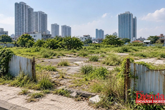Đánh thuế đất bỏ hoang: Đừng để doanh nghiệp chịu thiệt
