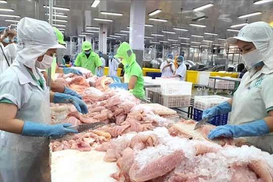 VEFTA: Rộng đường xuất khẩu, hút vốn đầu tư chất lượng cao