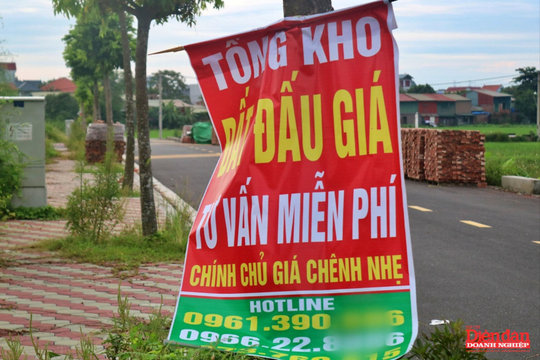 Ngăn trục lợi đấu giá đất