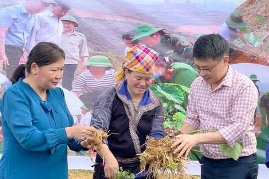 Lào Cai: Khởi sắc diện mạo vùng cao từ thực hiện Chương trình mục tiêu quốc gia