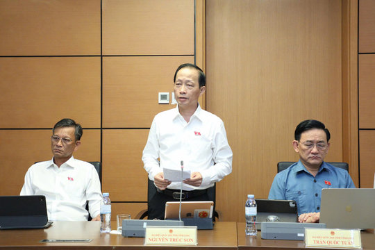 Đại biểu Quốc hội đề xuất nhân rộng chính sách, cơ chế đặc thù với các địa phương