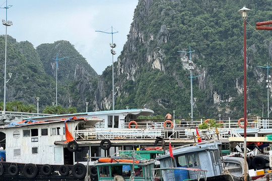 Quảng Ninh đồng bộ giải pháp, quyết tâm cùng cả nước gỡ "thẻ vàng" IUU