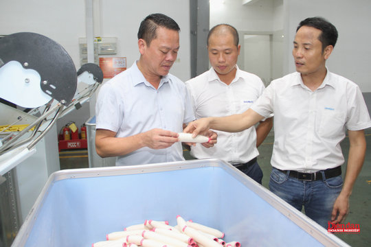 Xã Tiền Hải (Hưng Yên): Bứt phá quy hoạch, tạo bệ phóng thành phường đô thị