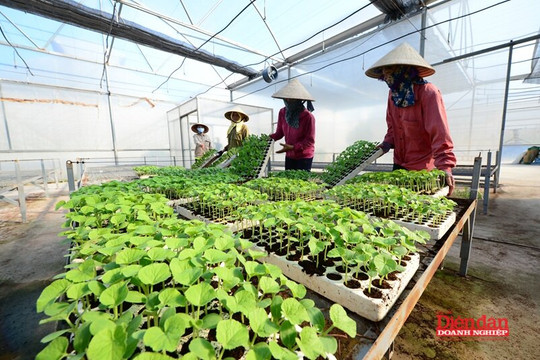 Sửa Luật Bảo vệ môi trường: Cần bao quát những vấn đề đang phát sinh