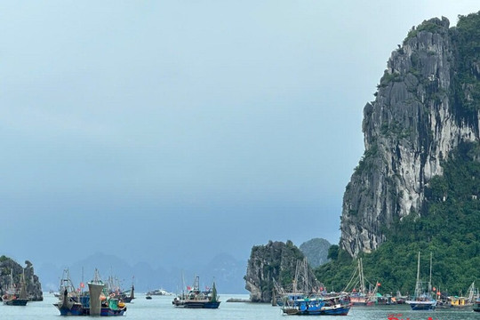 Quảng Ninh quyết liệt hành động, chung sức gỡ “thẻ vàng”