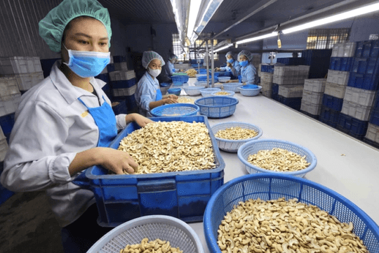 Chi phí nguyên liệu bào mòn lợi nhuận doanh nghiệp ngành điều