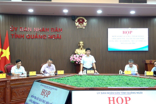 Quảng Ngãi: Đẩy mạnh chuyển đổi số trong chống khai thác IUU