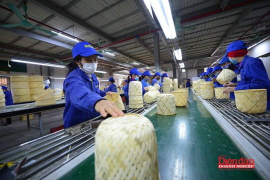 Cân nhắc chính sách hỗ trợ nhóm doanh nghiệp đặc thù