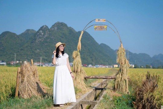 Rực rỡ mùa vàng Bắc Sơn