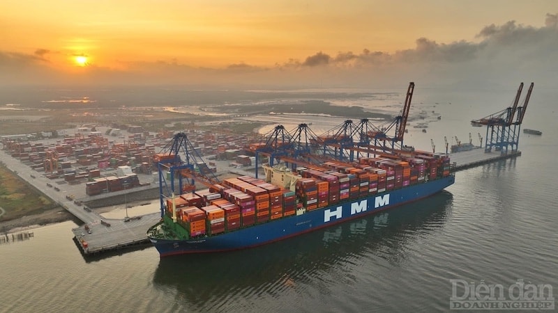 Sửa quy định cơ chế quản lý giá dịch vụ tại cảng biển