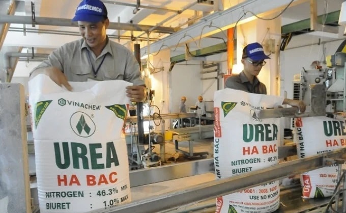 Thuế xuất khẩu phân bón "chặn đường" doanh nghiệp
