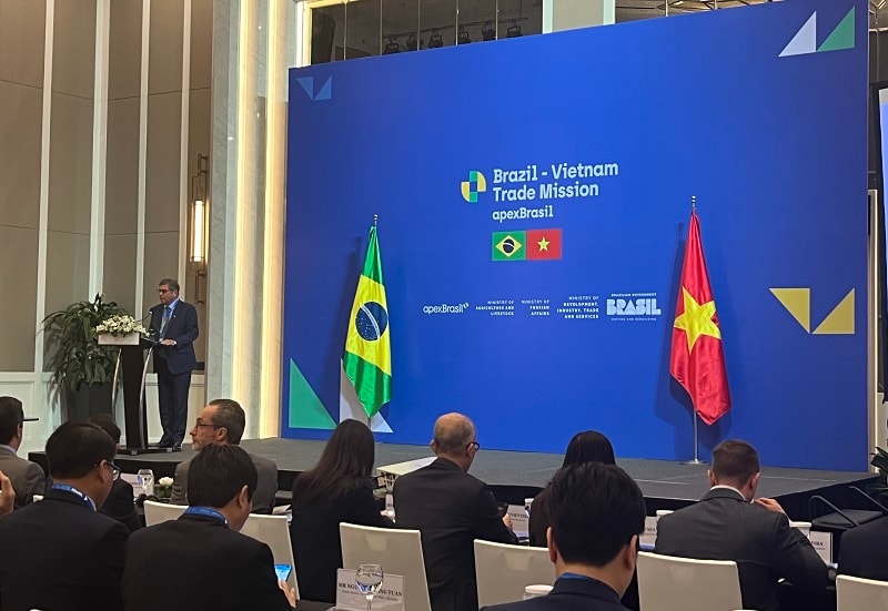 Thúc đẩy hợp tác Việt Nam- Brazil