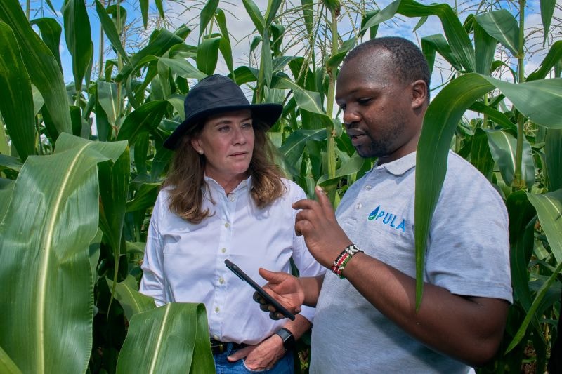 Công ty khởi nghiệp tăng khả năng phục hồi cho nông dân khi tổn thất mùa màng