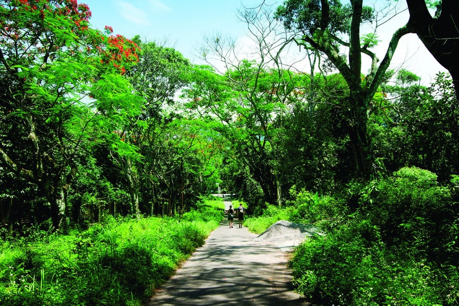 Những cánh bướm trong rừng Cúc Phương