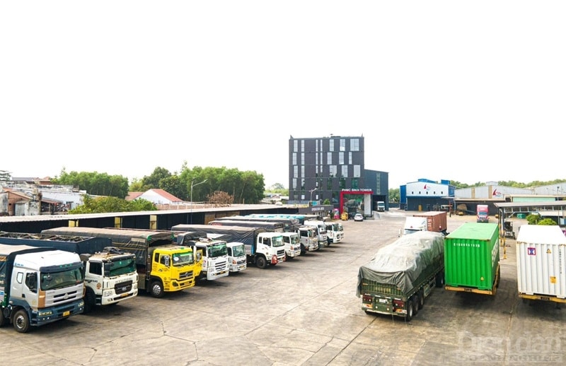 Cước tàu biến động và sự hợp tác trong kinh doanh