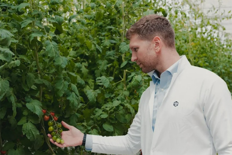 Các startup nông nghiệp bền vững thu hút vốn đầu tư "khủng"