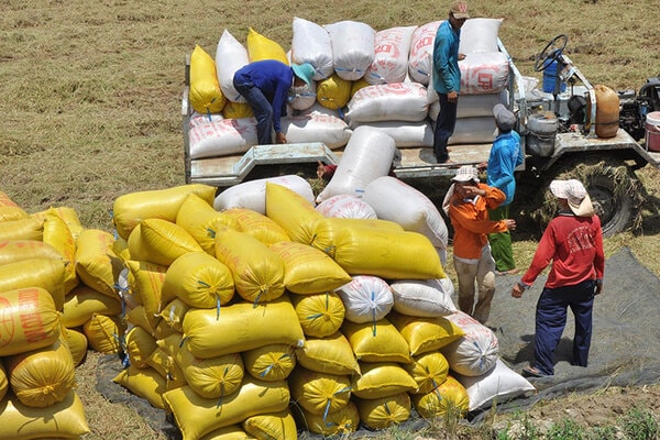 Sớm ban hành Nghị định thay thế Nghị định 107/2018