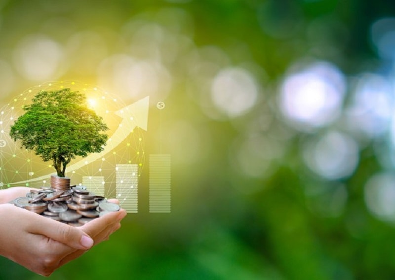 Diễn đàn Greenovation 2024: “Đầu tư và phát triển xanh”