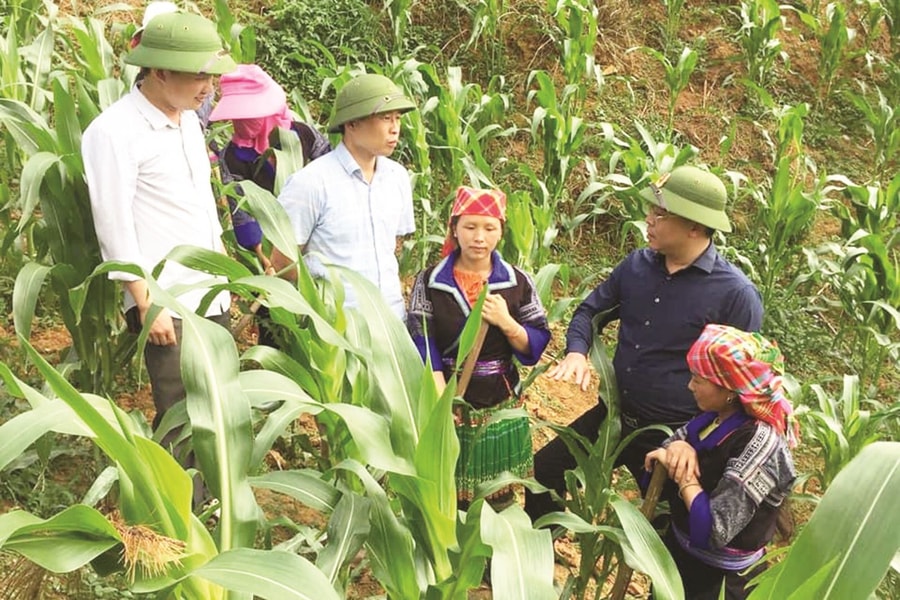 Huyện Mù Cang Chải (Yên Bái): Tạo động lực từ phát triển từ hạ tầng giao thông