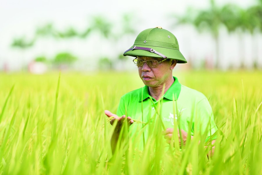 Xây dựng doanh nhân Việt Nam có tâm - tầm - trách nhiệm