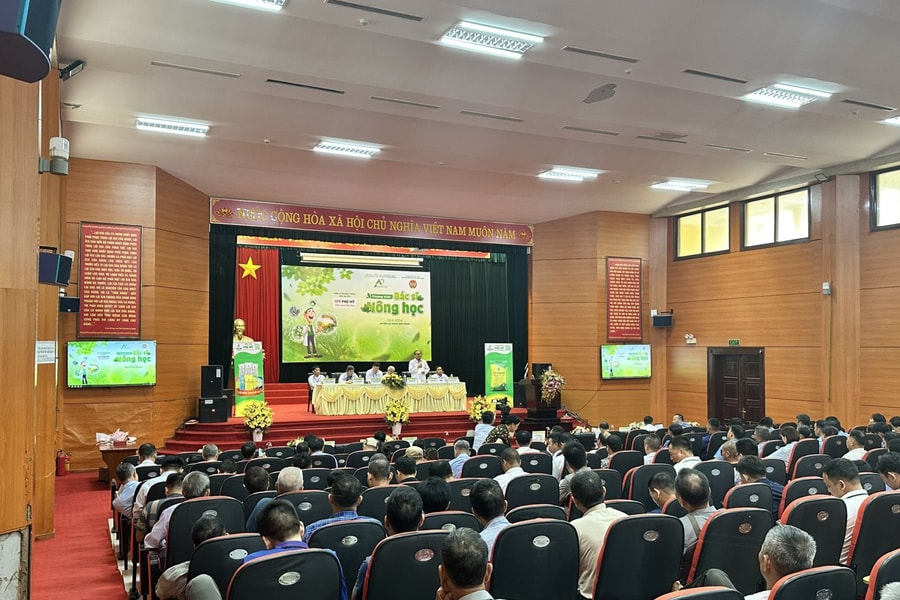 Tiến sĩ bắt bệnh – Đạm Phú Mỹ ra toa – nhà nông phấn khởi