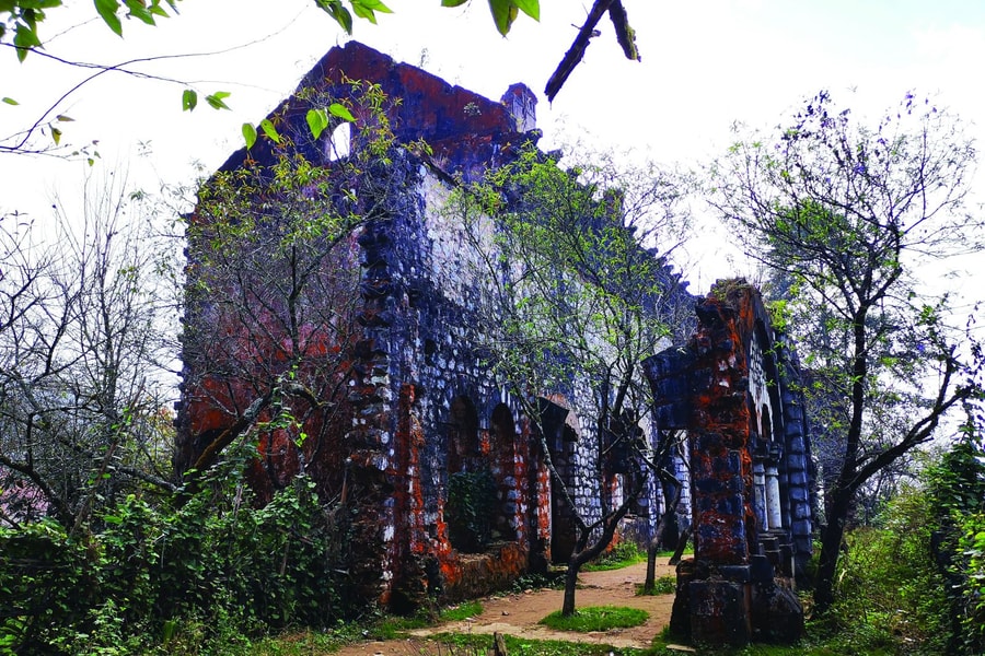 Mùa hè xanh mát ở Tả Phìn Sapa