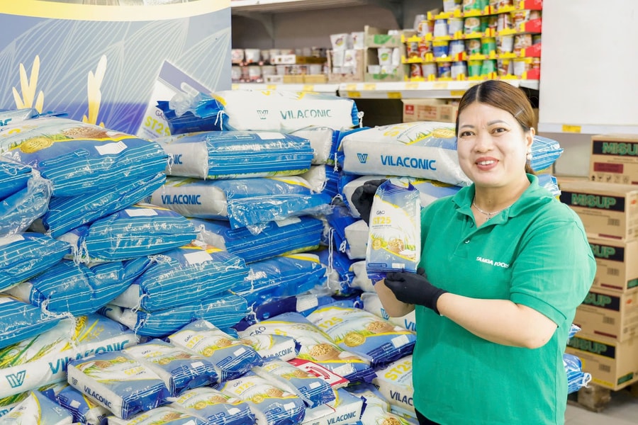 Vilaconic cùng Tamda Group đưa gạo ST25 vươn tới thị trường Châu Âu