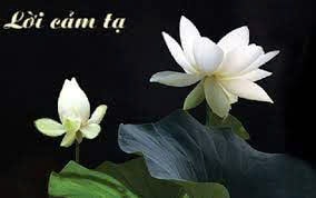 Lời cảm ơn của Ban tổ chức Lễ tang Tiến sĩ Vũ Tiến Lộc