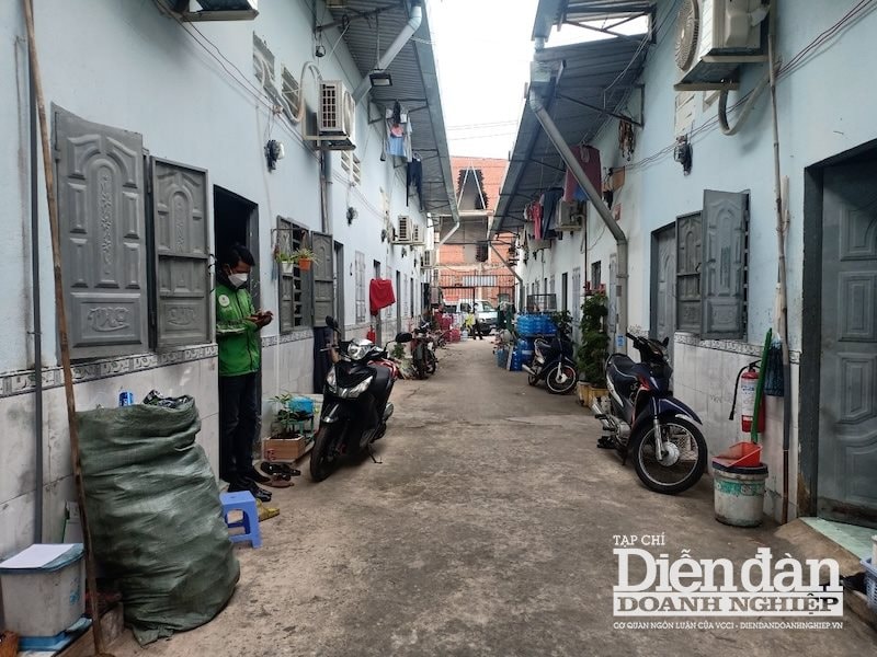 TP.HCM: Bắt buộc các chủ phòng trọ phải đăng ký kinh doanh