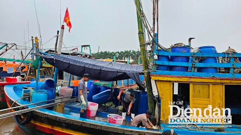 Hải Phòng: Dồn lực gỡ “thẻ vàng” thuỷ sản