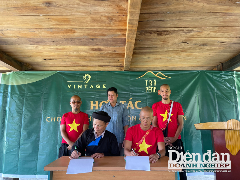 Bảo tồn và phát triển Di sản văn hóa chè Shan tuyết Hà Giang