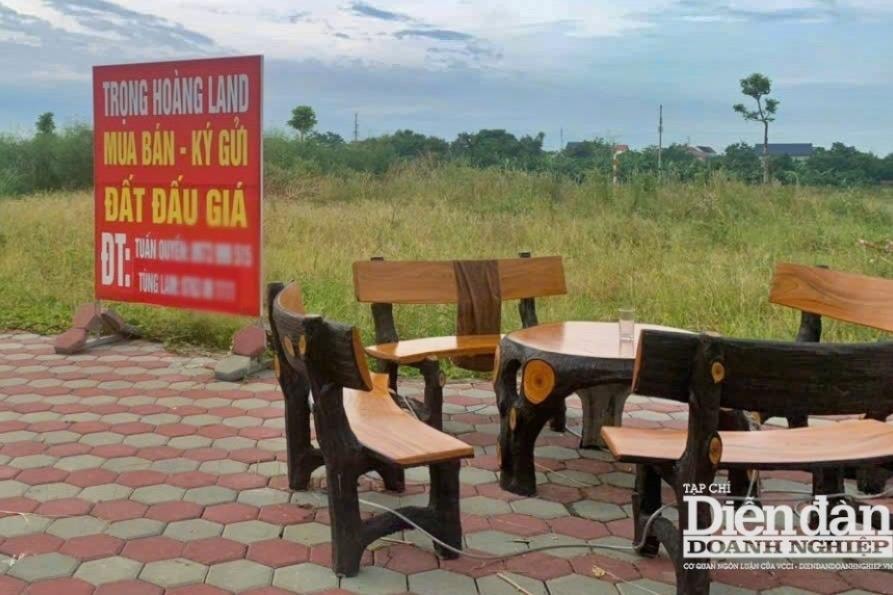 Góc khuất những cuộc đấu giá đất cao bất thường