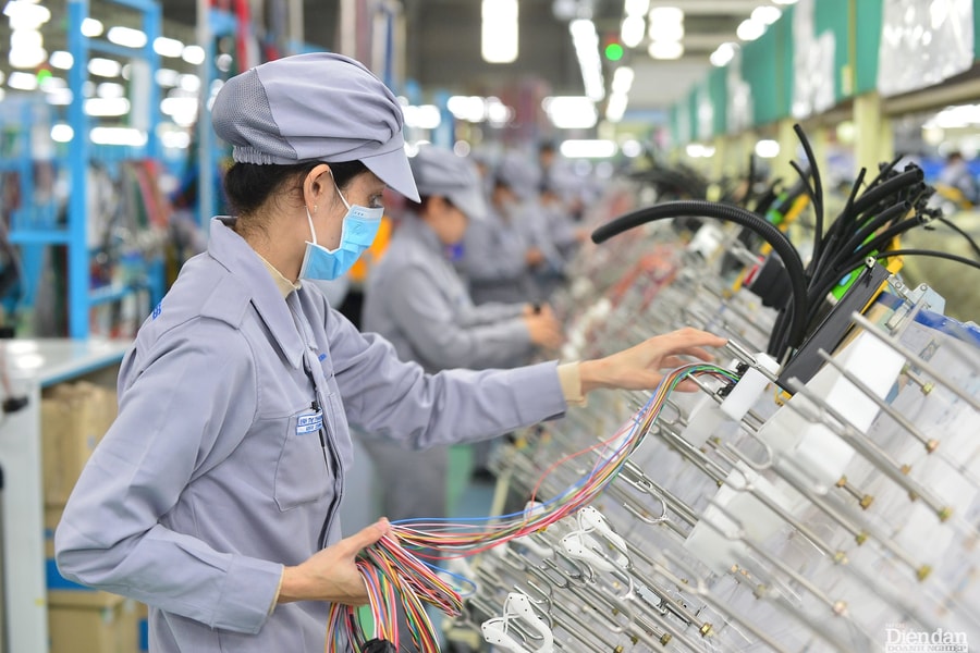 Các địa phương miền Trung đều chú trọng “xanh hóa” kinh tế