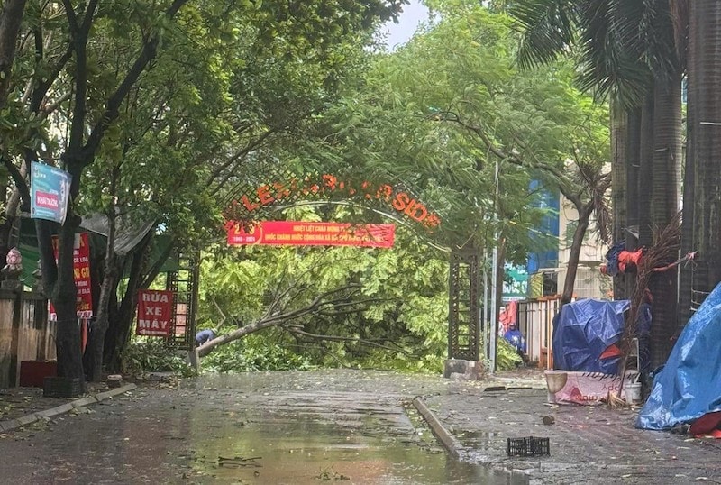 Doanh nghiệp ngành điện phải khắc phục sự cố, cung cấp điện trở lại ngay sau bão số 3