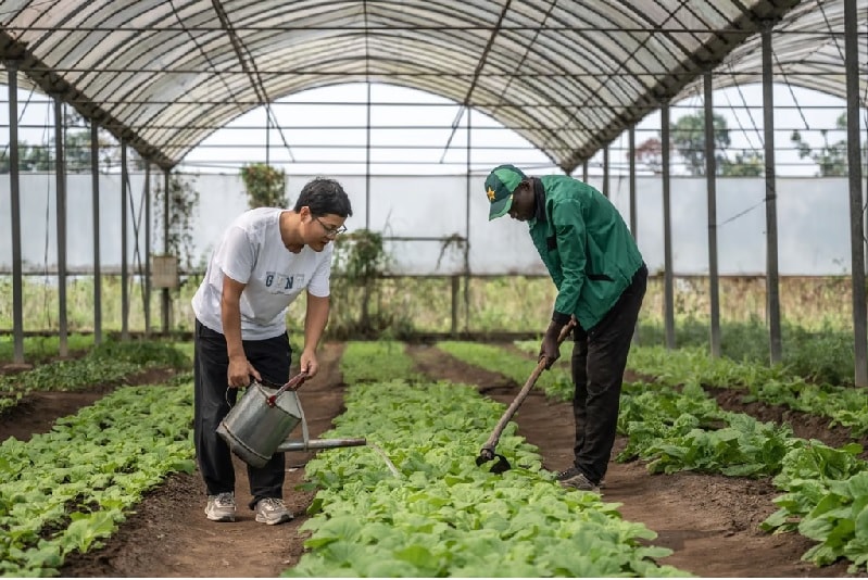 Mỹ và Trung Quốc "chạy đua" đầu tư vào châu Phi