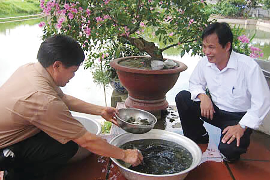 Công ty TNHH thủy sản Đức Chí: Hướng tới nông nghiệp công nghệ cao trong nuôi cá sinh sản