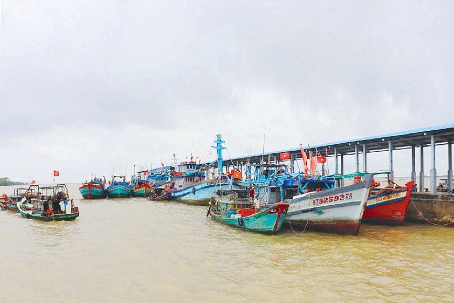 Ba Tri ( Bến Tre): Hướng tới Trung tâm kinh tế - văn hóa biển