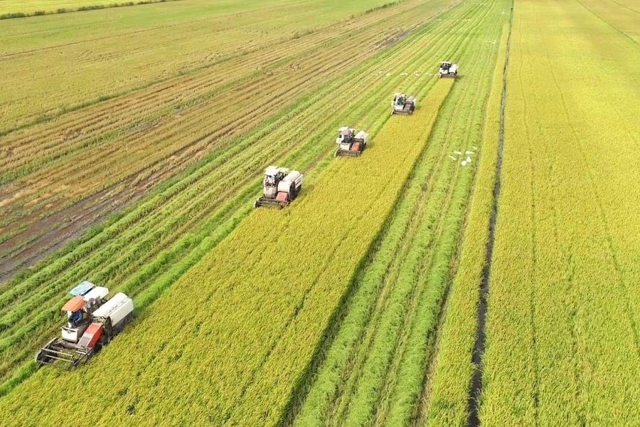 Những lĩnh vực nào cần ưu tiên phát triển kinh tế tuần hoàn?