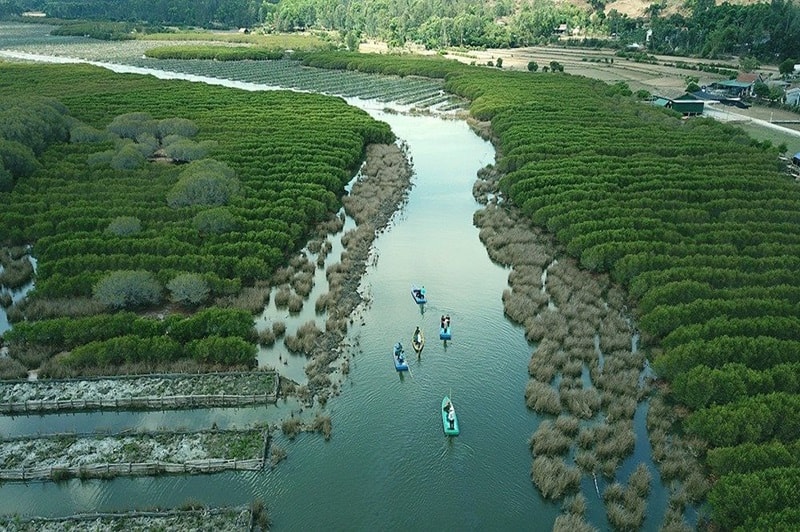 Phát triển thị trường tín chỉ carbon: Cần chuẩn bị nguồn nhân lực