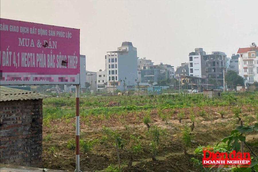 Ngăn chặn bỏ cọc đấu giá đất: Giải pháp từ định giá đất và thuế bất động sản