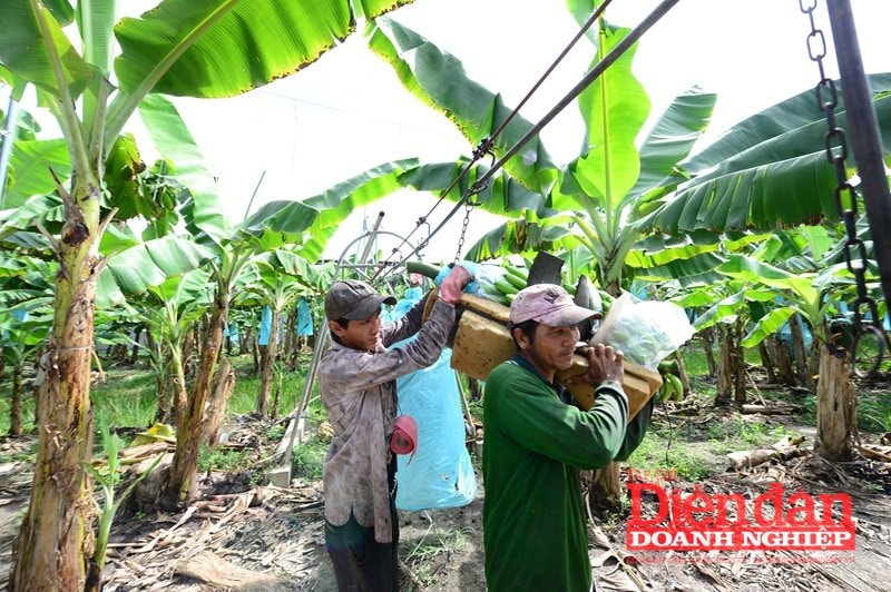 Sửa Luật Thuế thu nhập doanh nghiệp: Cân nhắc ưu đãi thuế công nghệ xanh