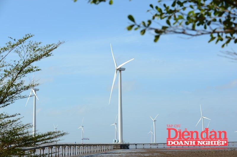 Sửa Luật Điện lực: Khuyến khích đầu tư dự án điện gió ngoài khơi cho xuất khẩu