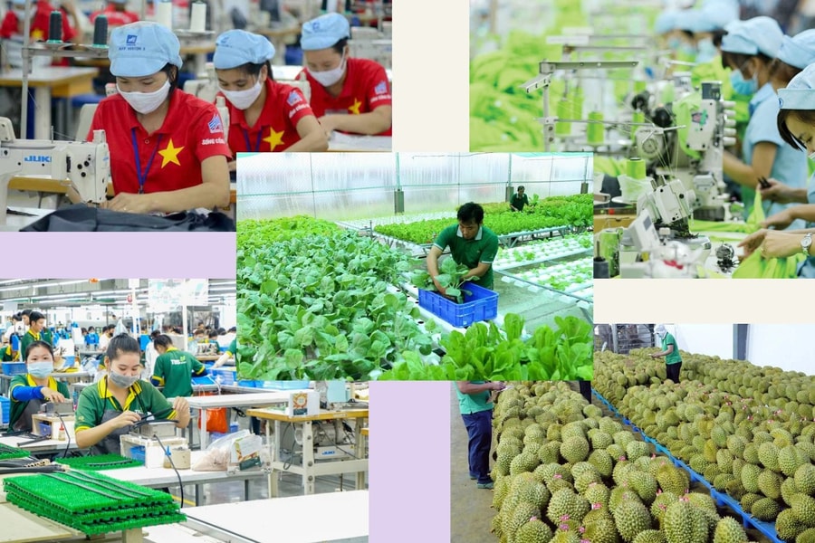 Năng suất xanh thúc đẩy doanh nghiệp tăng trưởng và bảo vệ môi trường bền vững