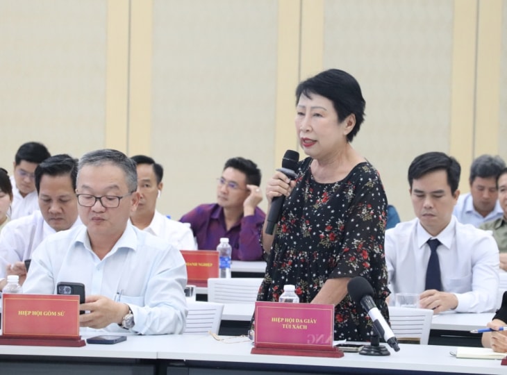 Bình Dương gặp gỡ các hiệp hội ngành hàng và doanh nghiệp đầu tư trong nước