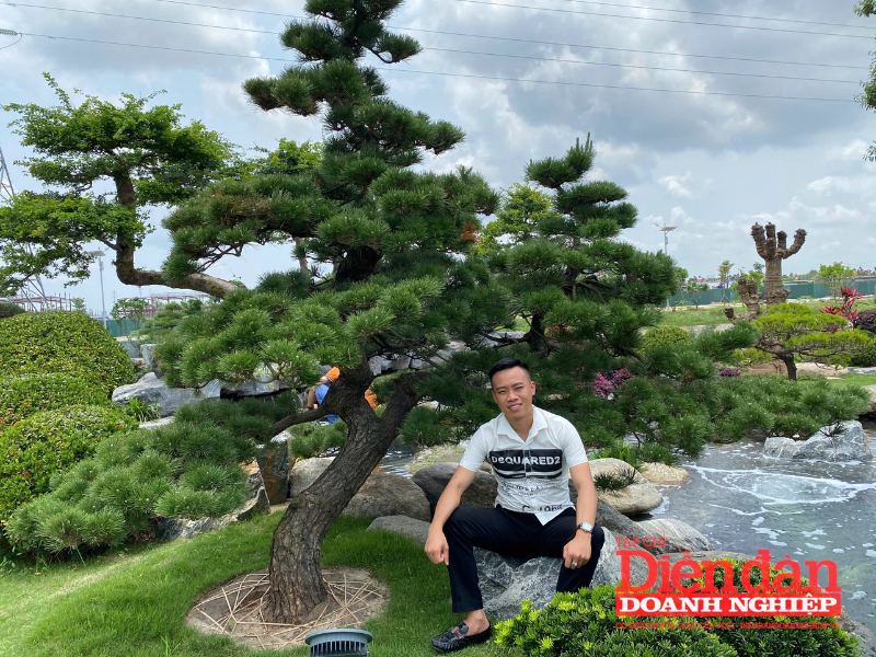 Cơ hội phát triển từ nghề thiết kế cảnh quan sân vườn