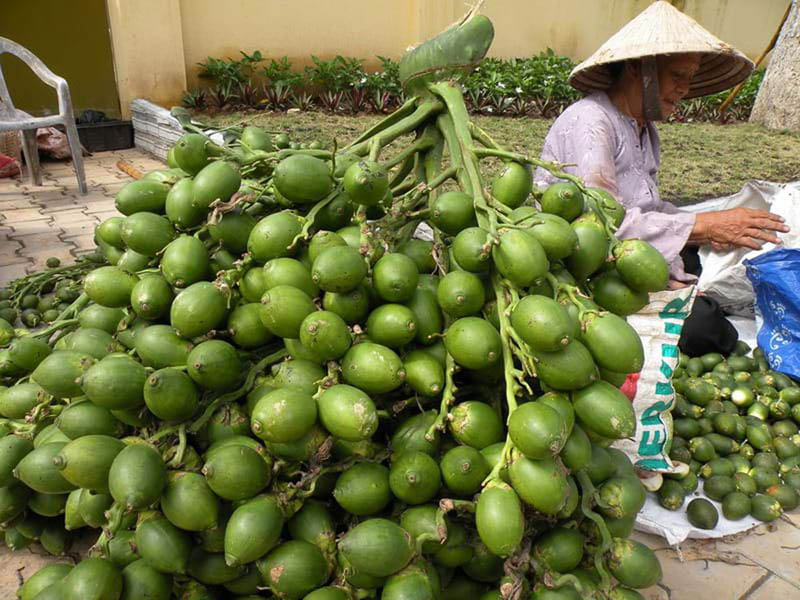 Hải Phòng: Giá cau tăng đột biến, người dân thu lãi lớn