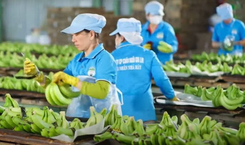 Mỗi ngày doanh nghiệp bầu Đức “bỏ túi” gần 4 tỷ đồng tiền lãi